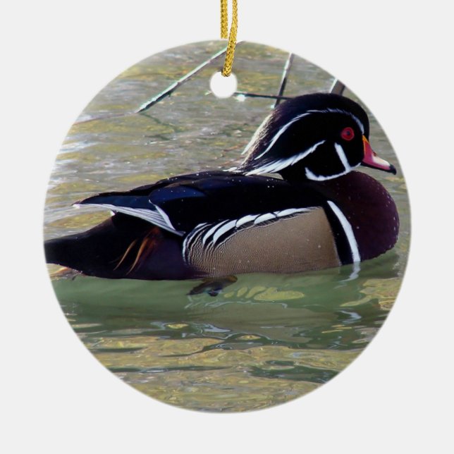 Ornamento De Cerâmica Wood Duck Drake (Frente)