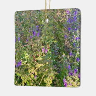 Ornamento De Cerâmica Wooly Bluecurls