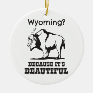 Ornamento De Cerâmica Wyoming? Porque é lindo