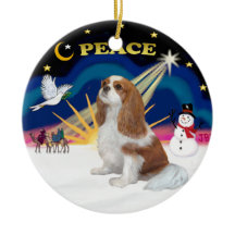 Xmas Sunrise - Blenheim Cavalier