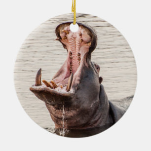 Ornamento De Cerâmica Yawning Hippo