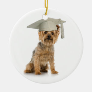 Ornamento De Cerâmica Yorkie Dog com chapéu de graduação