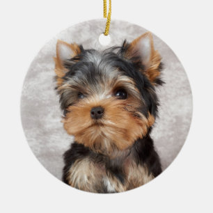 Ornamento De Cerâmica Yorkie maravilhoso