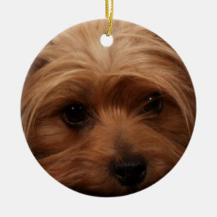 Ornamento De Cerâmica Yorkie ou sua imagem do cão