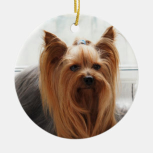 Ornamento De Cerâmica Yorkie Yorkshire Terrier Dog
