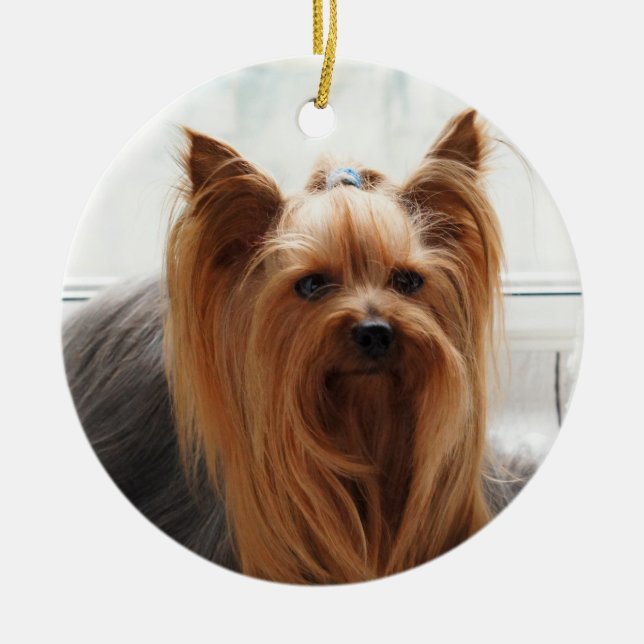 Ornamento De Cerâmica Yorkie Yorkshire Terrier Dog (Frente)