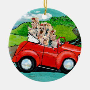 Ornamento De Cerâmica Yorkies no Red Convertible