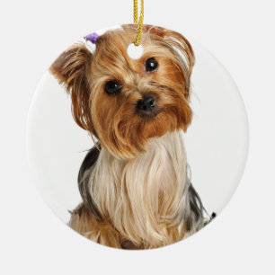 Ornamento De Cerâmica Yorkshire Terrier Puppy