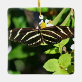 Ornamento De Cerâmica Zebra Longwing Butterfly
