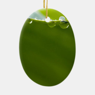 Ornamento De Cerâmica Zen Love Green Lotus Leaf Water Drop