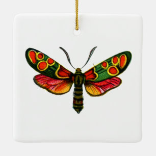 Ornamento De Cerâmica Zygaena carniolica - A Gente De Burnet