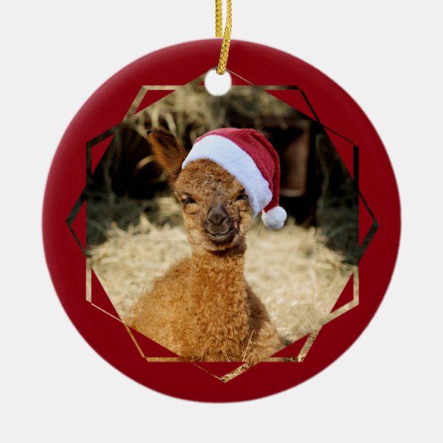 Ornamento de Chirstmas da alpaca (Frente)