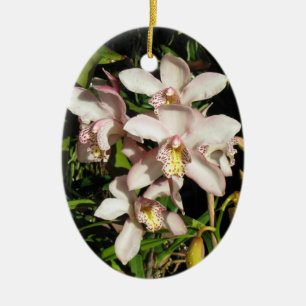 Ornamento de Cymbidium Orchids, personalizar