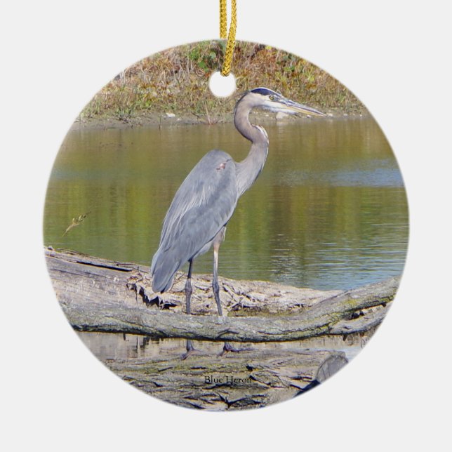 Ornamento de dois lados de Blue Heron (Frente)
