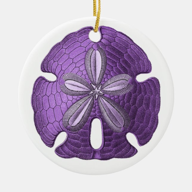 Ornamento de Dólar de Areia Violeta (Frente)