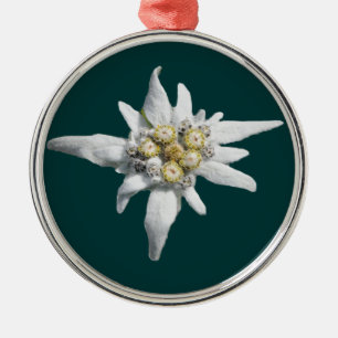 Ornamento de Edelweiss