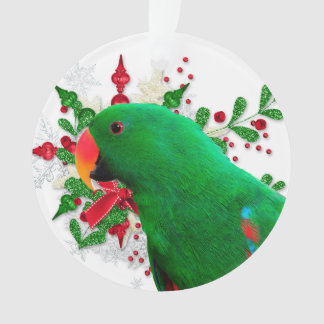 Ornamento de Espírito de Natal Eclectus
