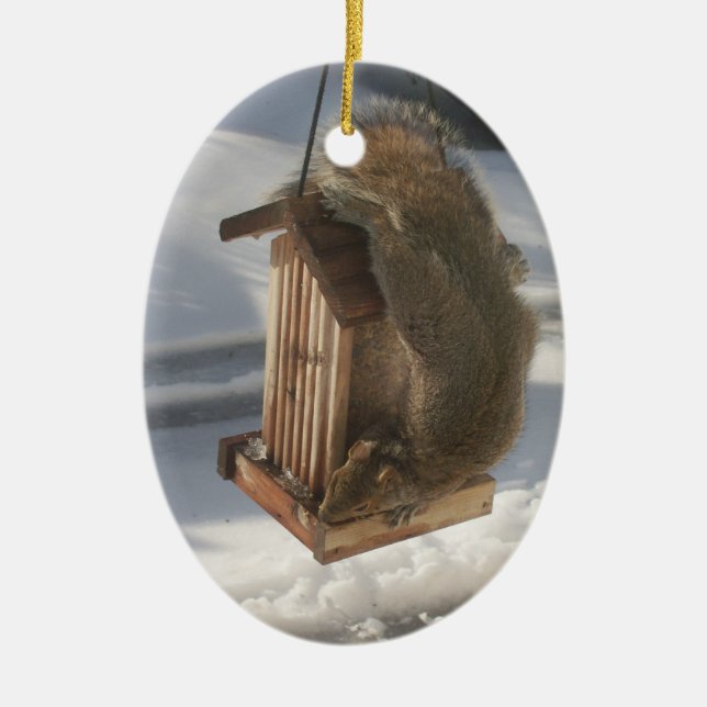 Ornamento de Esquilo para Baixo (Frente)