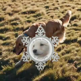 Ornamento De Estanho Floco De Neve Memorial de Animal de Estimação com Vignette de Fo