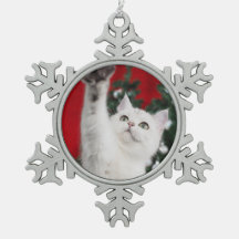 XMAS white Cat