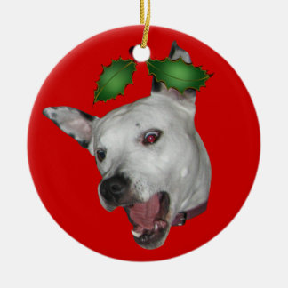 Ornamento de Facemauler do beijo