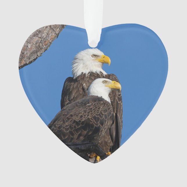 Ornamento de feriados do logotipo M15 e F23 (Frente)