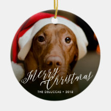 Ornamento de Feriados *Escrituras de Feliz*