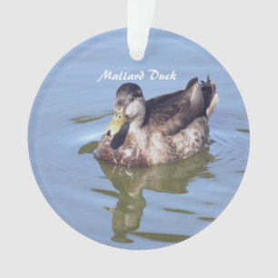 Ornamento de Foto de Pato Mallard