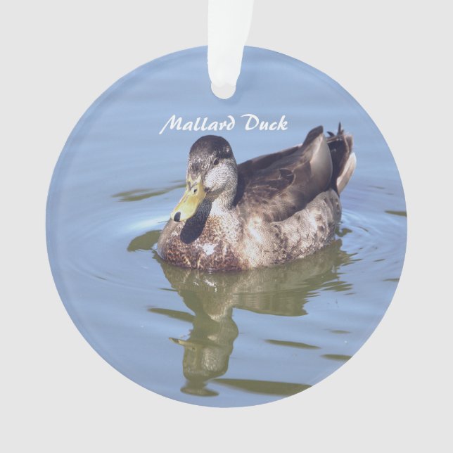 Ornamento de Foto de Pato Mallard (Frente)