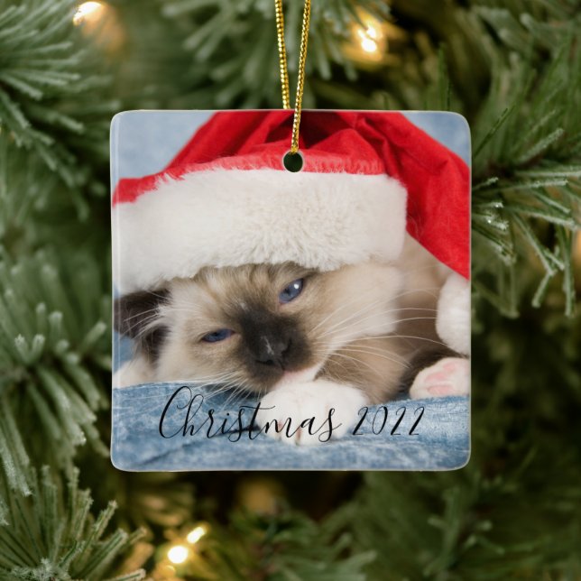 Ornamento de Fotografias Natal 2022 (Árvore)