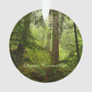 Ornamento de Fotos da Floresta Tropical olimpiadas