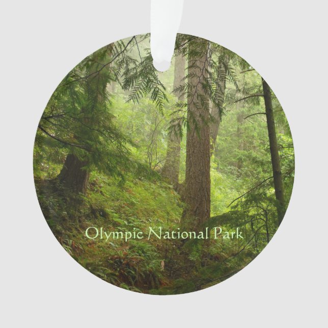 Ornamento de Fotos da Floresta Tropical olimpiadas (Frente)