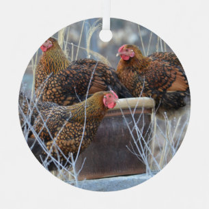 Ornamento de Galinha em Cuta