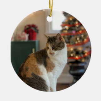 Ornamento de Gatinho de Natal