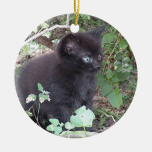 ornamento de gatinho preto