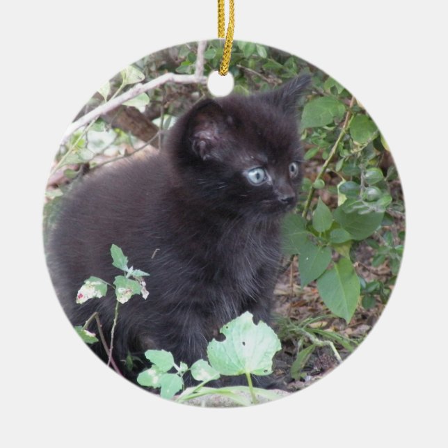 ornamento de gatinho preto (Frente)