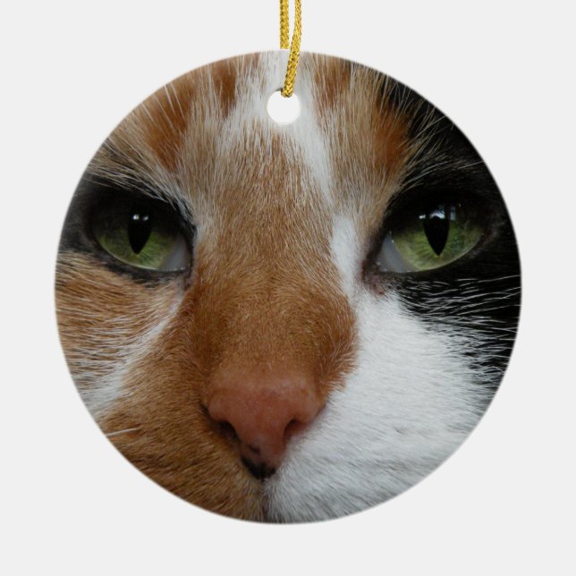 ornamento de gato Calico (Frente)