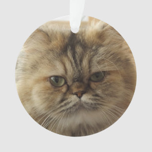 ORNAMENTO DE GATO DE FOTO PET PERSONALIZADO