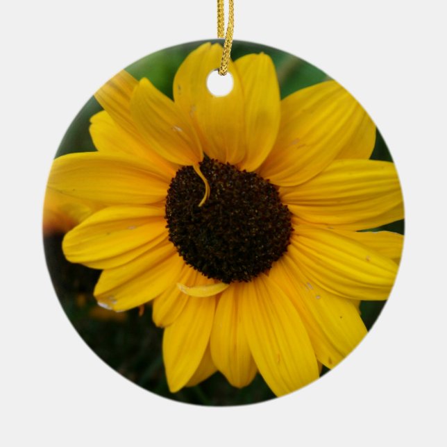 Ornamento de girassol (Frente)