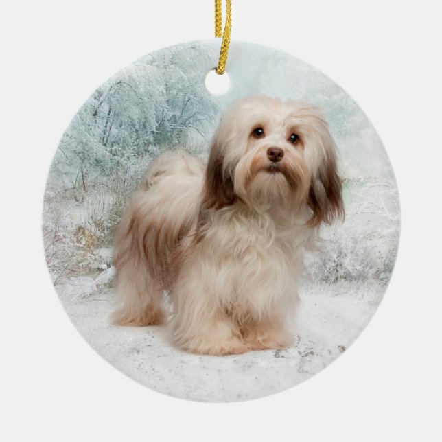 Ornamento de Havanese (Frente)