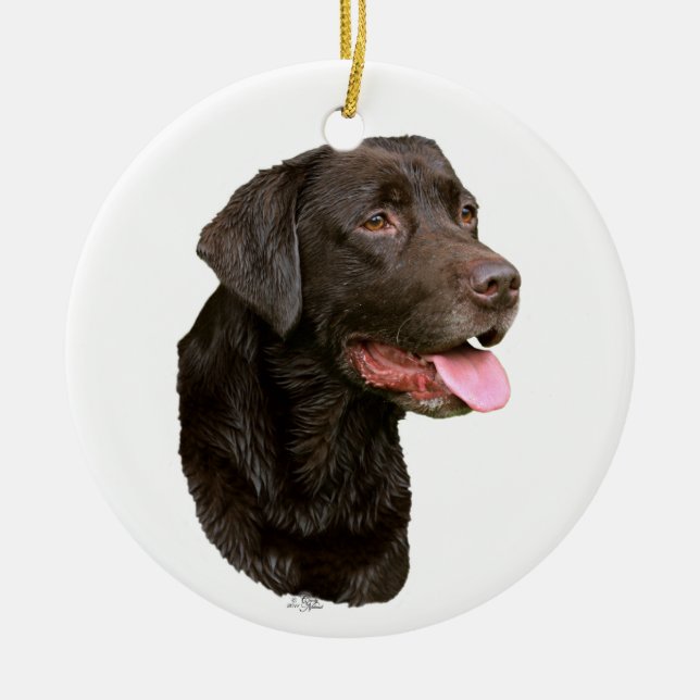 Ornamento de labrador retriever do chocolate (Frente)