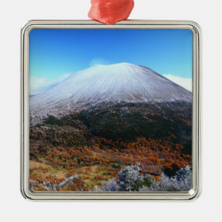 ORNAMENTO DE METAL 冠雪の浅間山