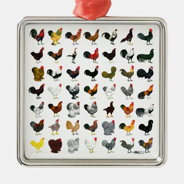 Ornamento De Metal 49 Roosters (Frente)