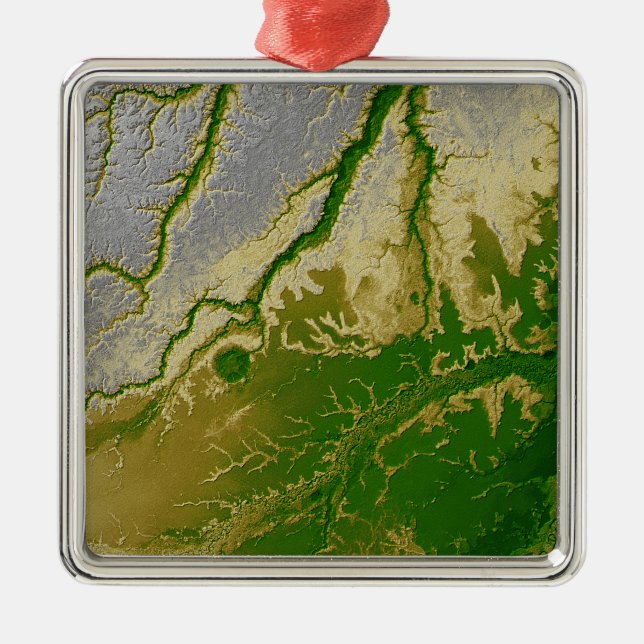 Ornamento De Metal A Amazônia boliviana (Frente)