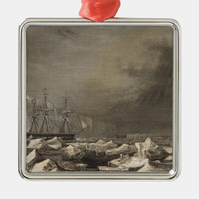 Ornamento De Metal A Antártica 3 (Frente)