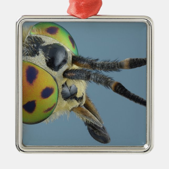 Ornamento De Metal A cabeça dos cervos voa (Frente)