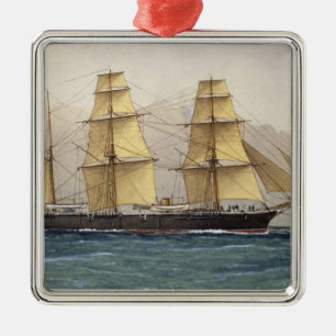 Ornamento De Metal A Cisne selvagem, 1906