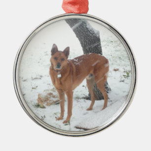 Ornamento De Metal A coleção do Natal adiciona a foto do animal de