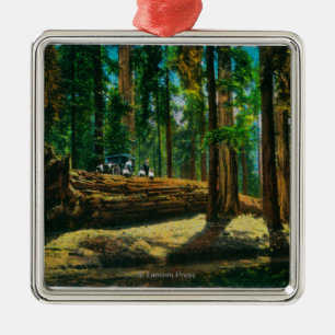 Ornamento De Metal A floresta gigante do auto início de uma sessão,