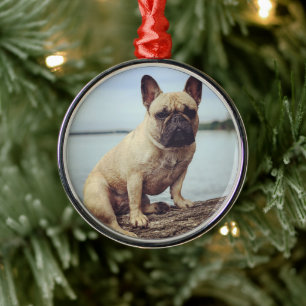 Ornamento De Metal A French Bulldog
